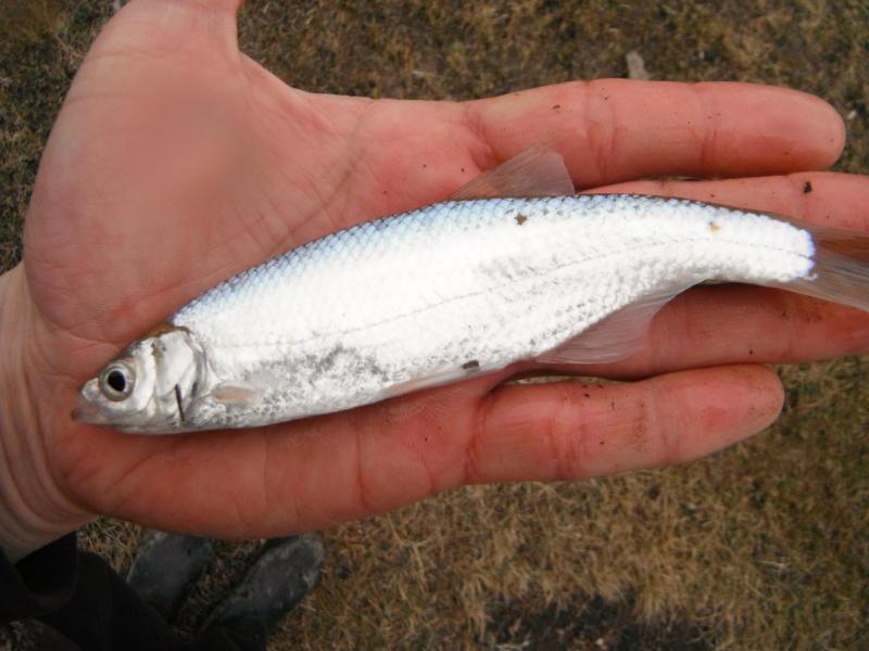DSCF5380.JPG