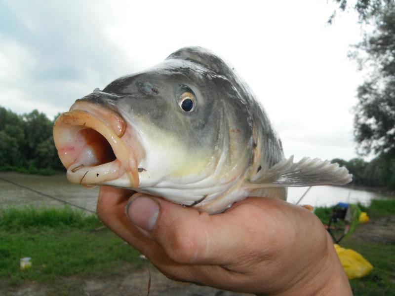 DSCF5673.JPG