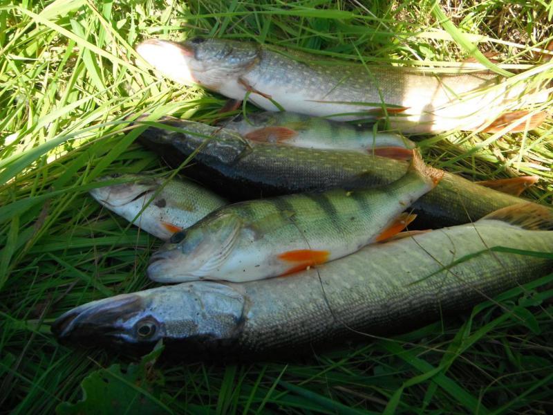 DSCF4485.JPG