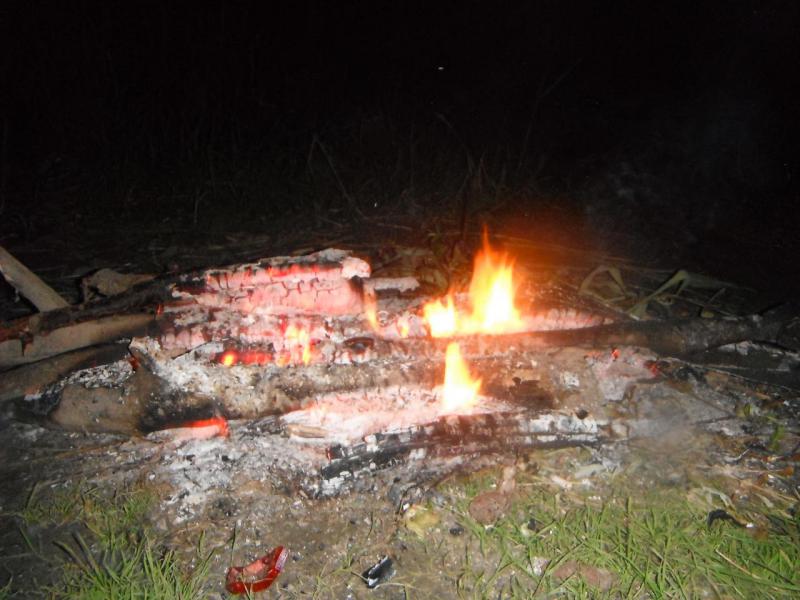 DSCF4565.JPG