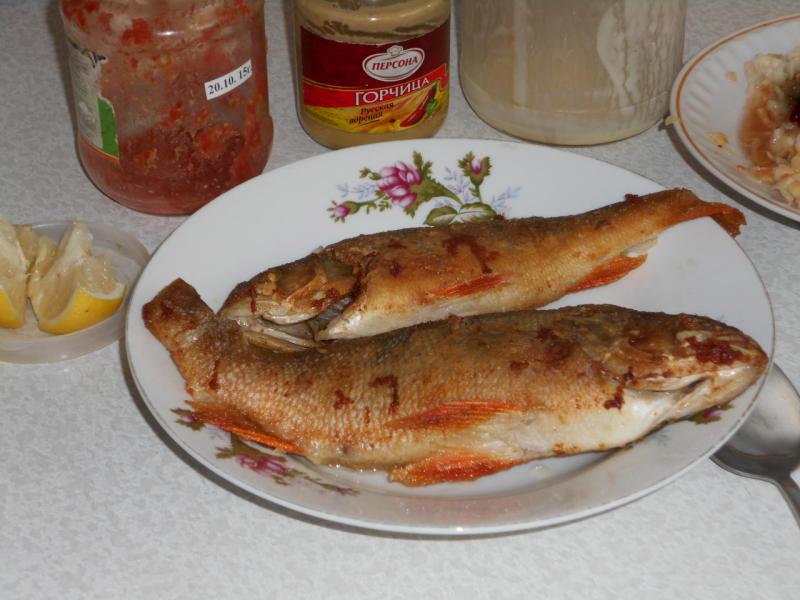 DSCN0945.jpg