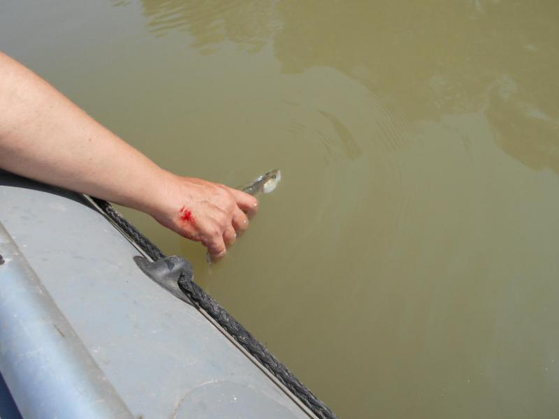 Изображение 8 050.jpg