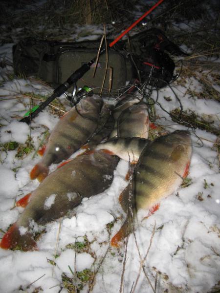 Изображение 058.jpg