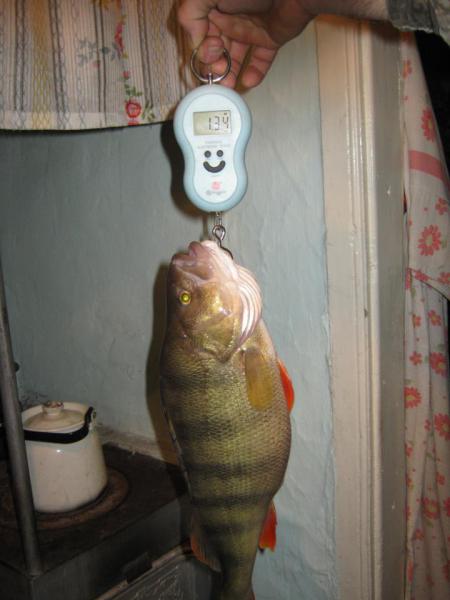 Изображение 069.jpg