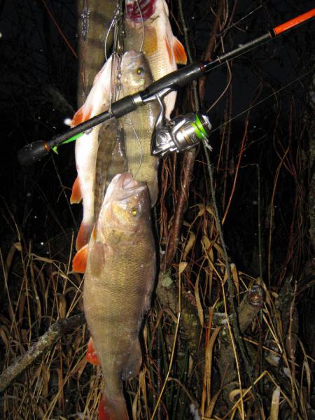 Изображение 060.jpg