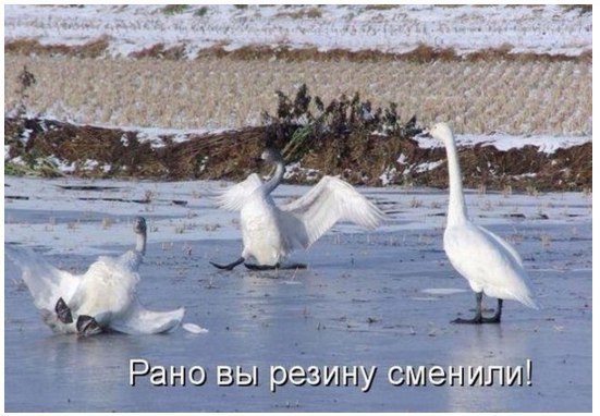4zwzPzyTnqo.jpg