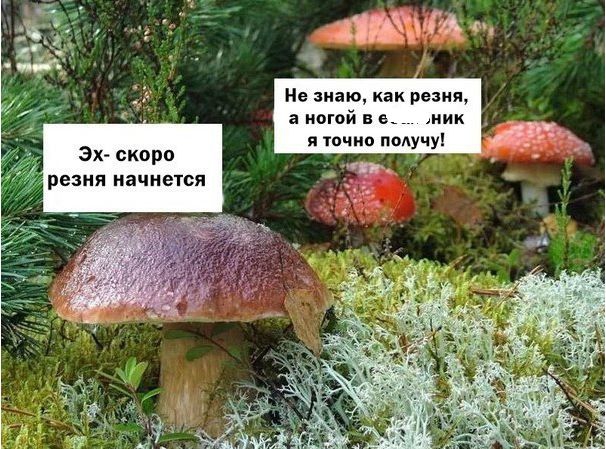 91150.jpg