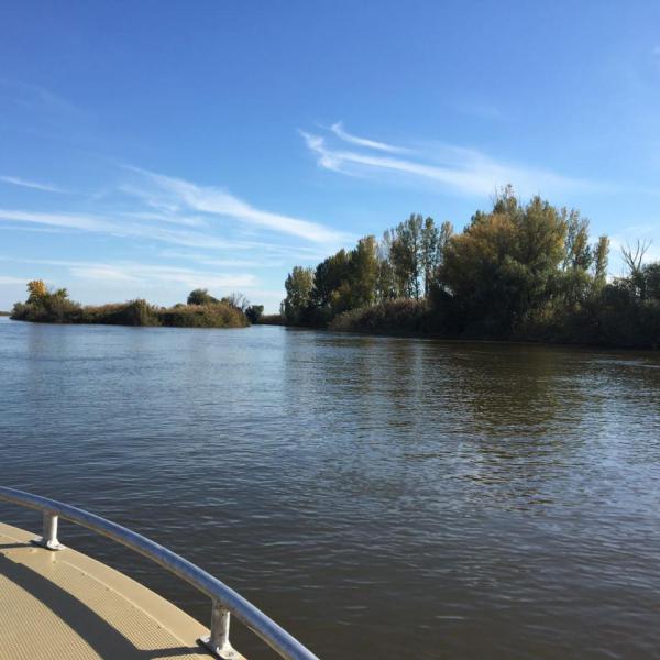 WhatsApp Image 2017-10-12 at 17.12.28.jpeg