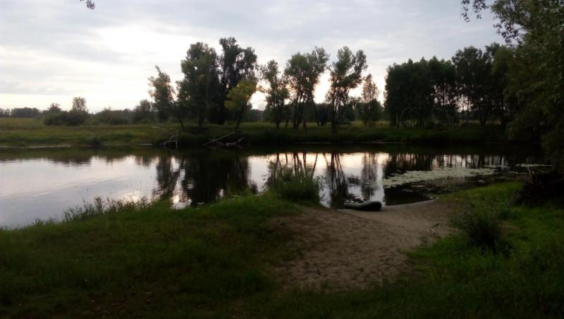 IMG_20170722_201742.jpg
