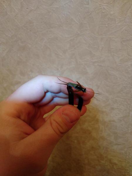 IMG_20170308_220757.jpg