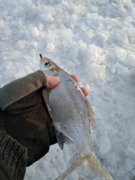 IMG_20180119_161247.jpg