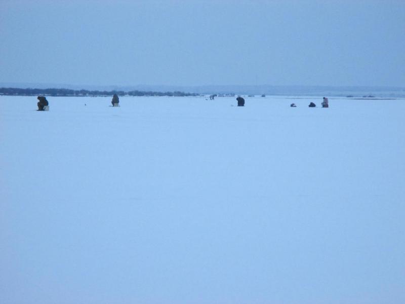 IMG_1000.JPG