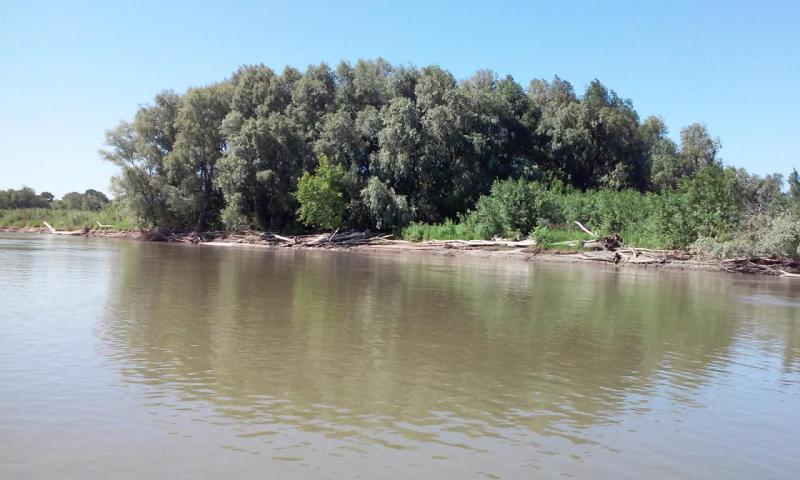 20150627_145616.jpg