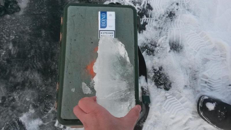 20151111_094549.jpg