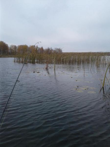 20171011_133256.jpg