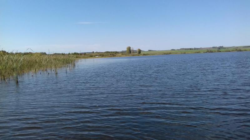20160918_1159251.jpg