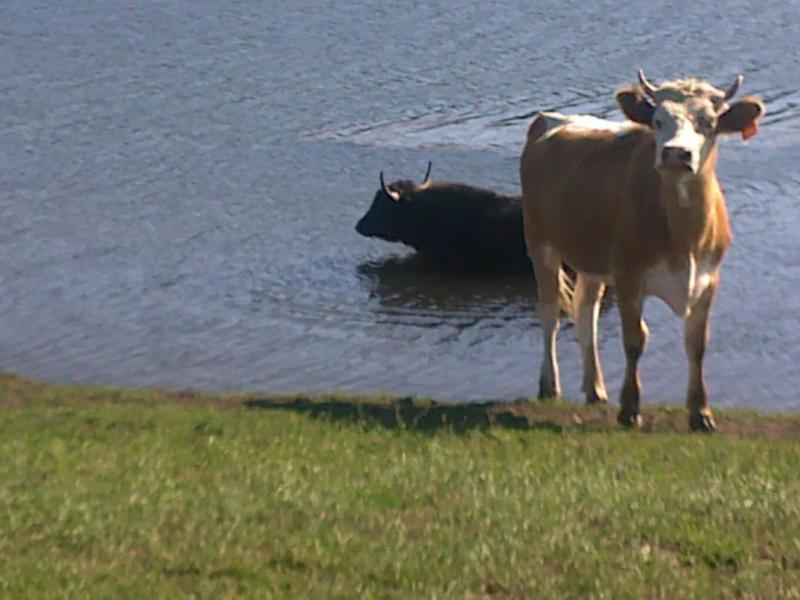 08092012134.jpg