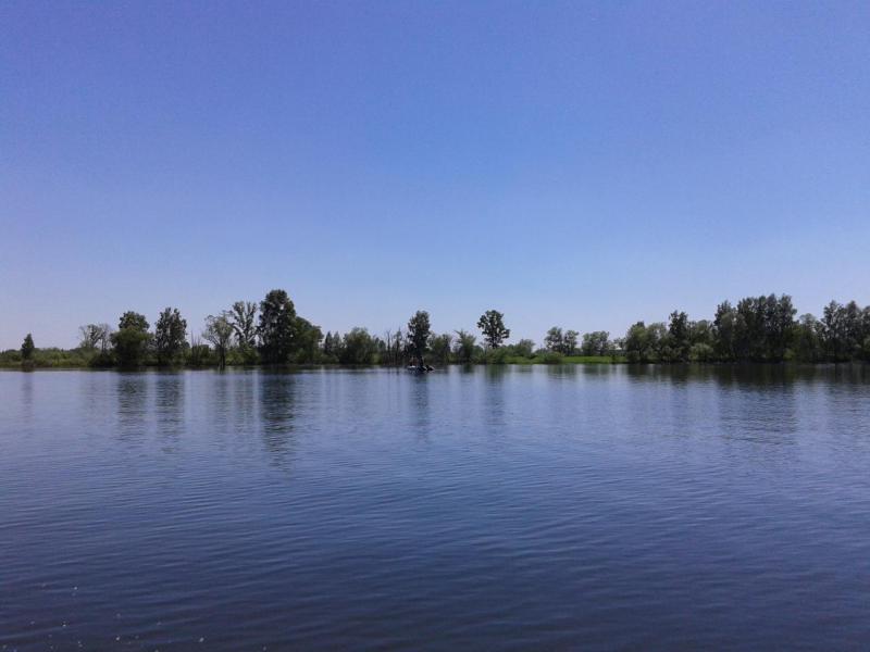 20170603_132357.jpg