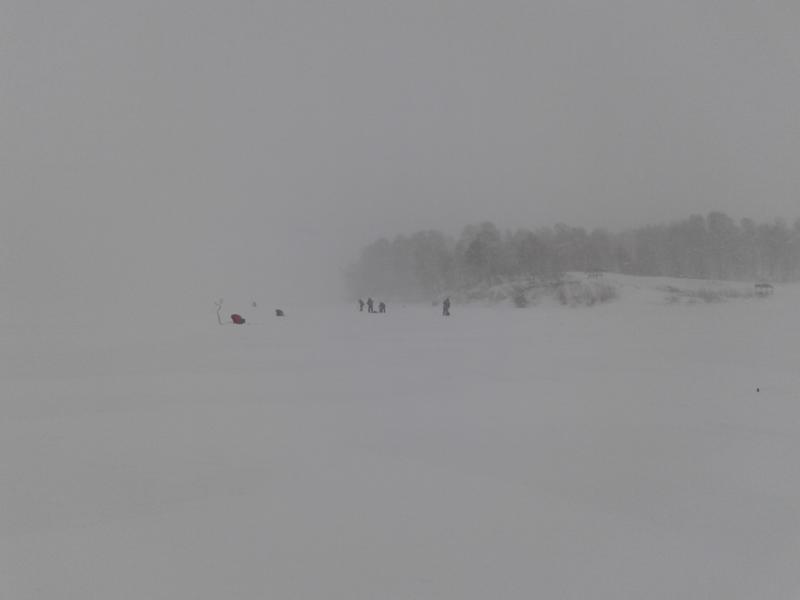 20160206_104707-1.jpg