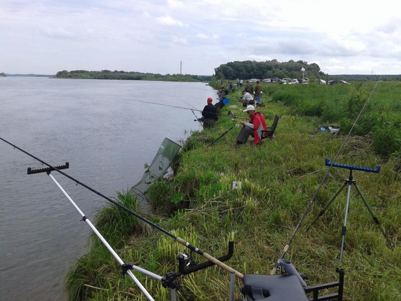 20150621_095004.jpg