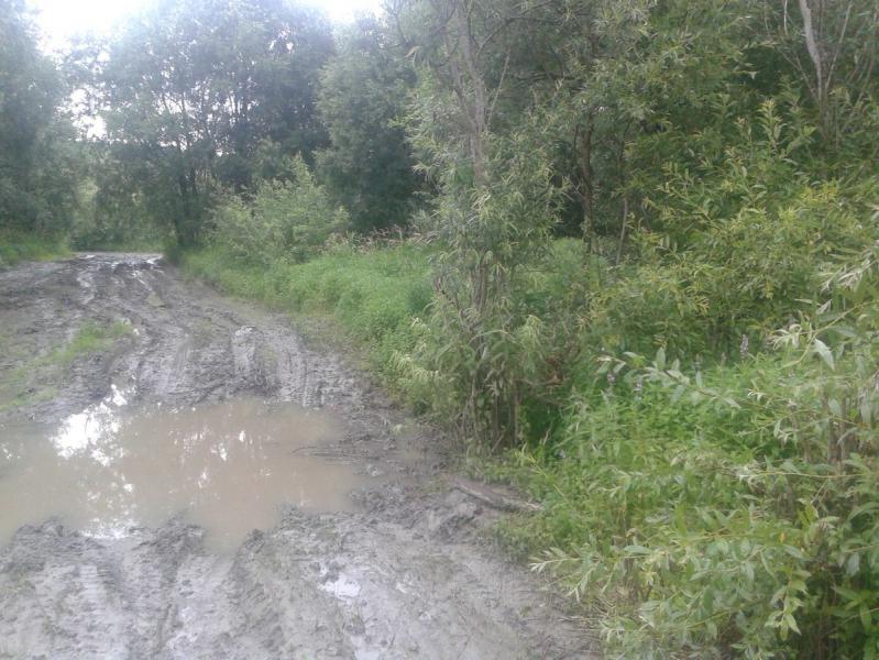 20170718_134043.jpg