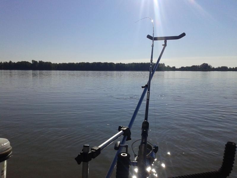 20170716_083249.jpg