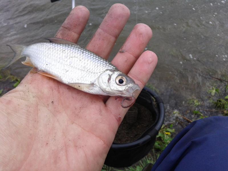 20150521_141341.jpg