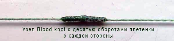 Blood Knot 10 oborotov+.jpg