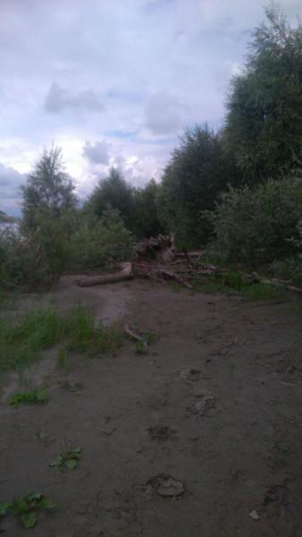 IMG-20170714-WA0011.jpg