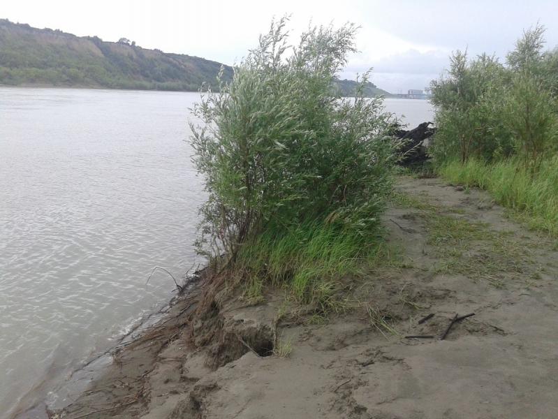 20170718_133432.jpg