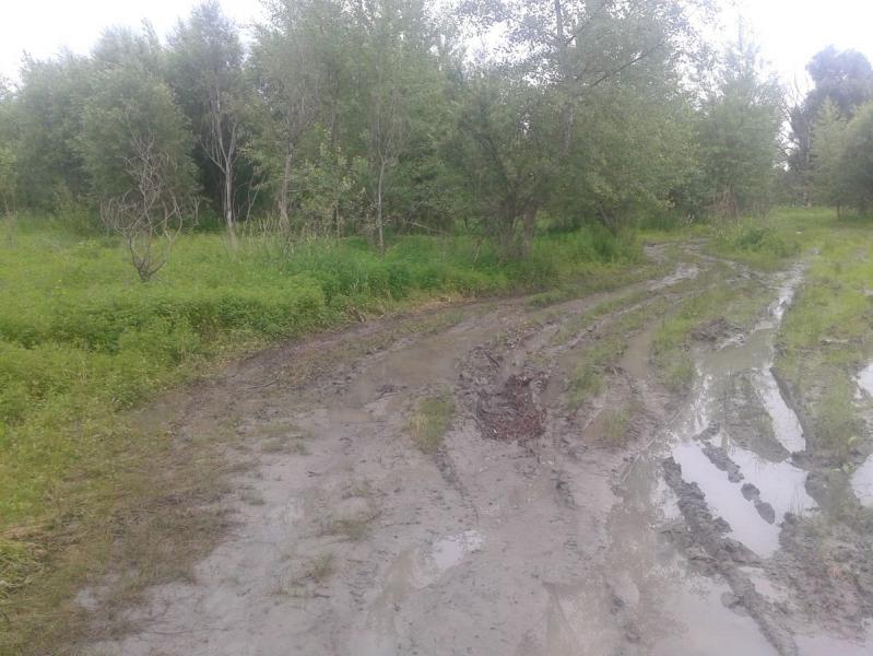 20170718_134034.jpg