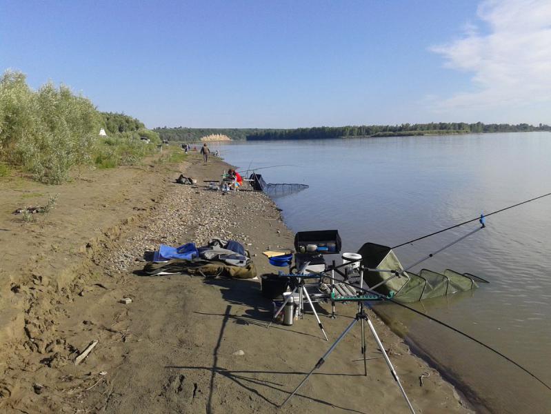 20170716_083204.jpg