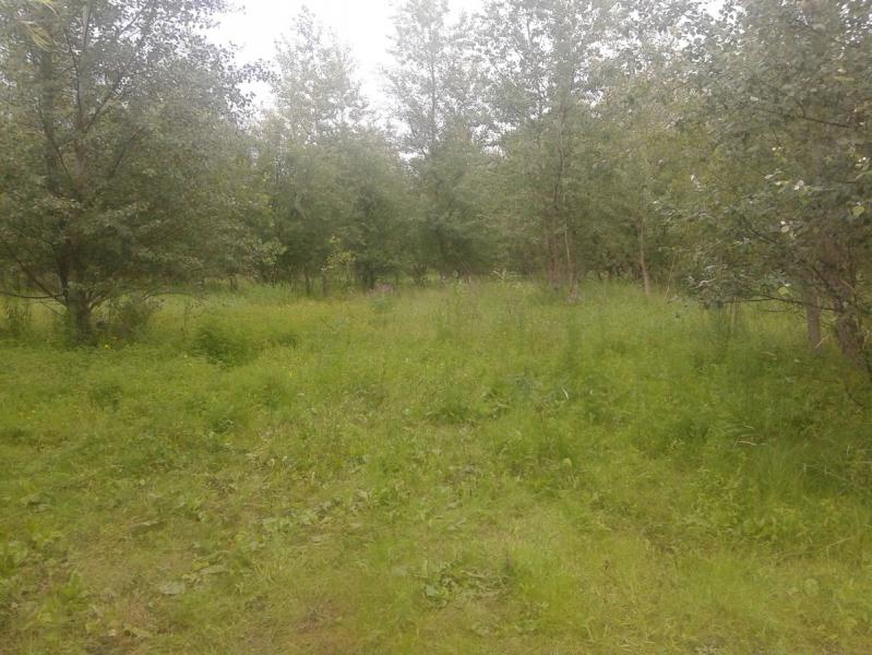 20170718_134122.jpg