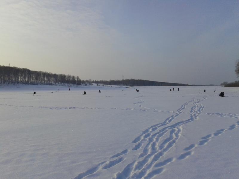 20160109_103258-1.jpg