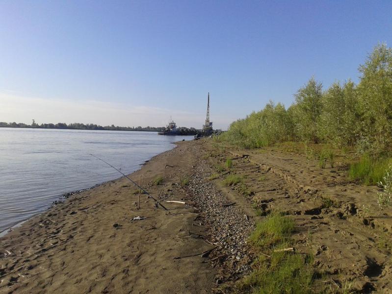 20170716_072041.jpg