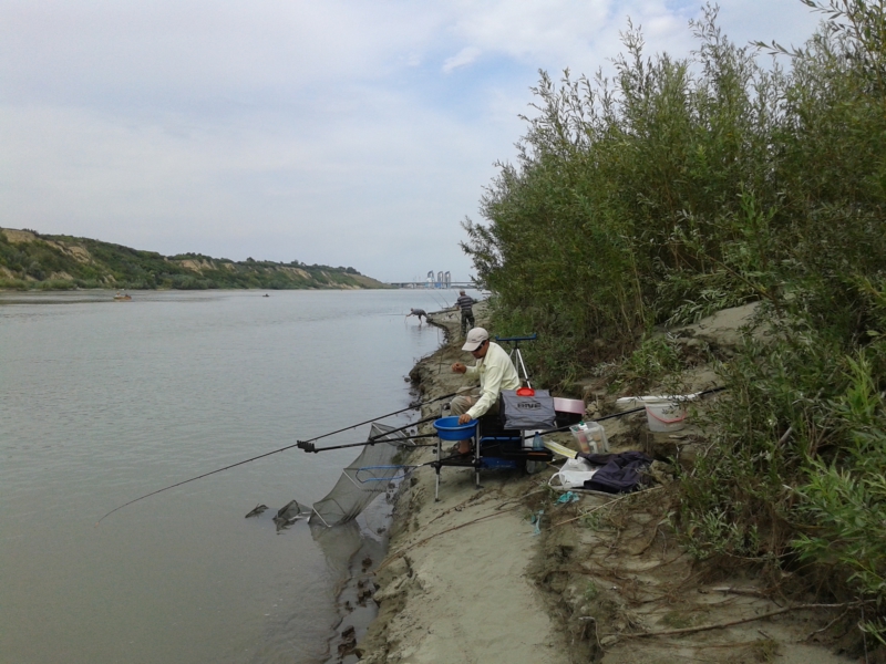 20150820_133509-1.jpg