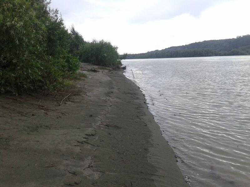 20170718_133345.jpg