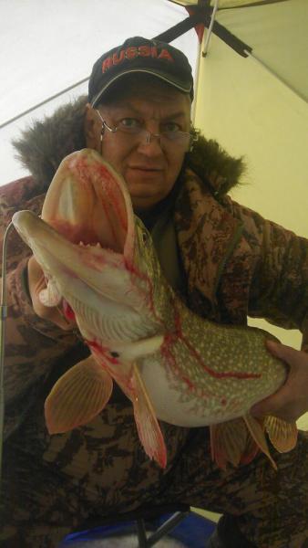 IMG-20171209-WA0001.jpg