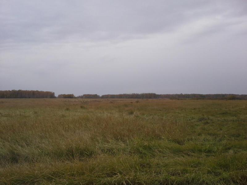 20171001_113755.jpg