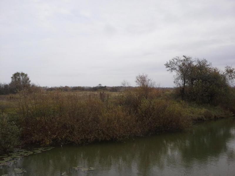 20171001_113806.jpg