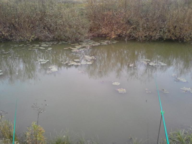20171001_093946.jpg