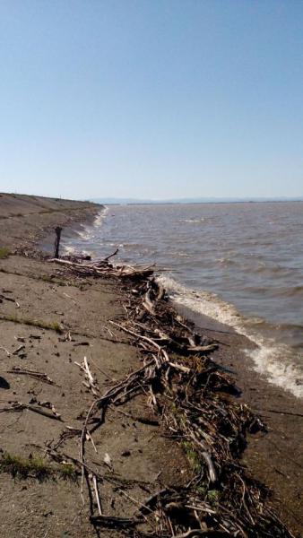 1429988785_img-20150425-wa0011.jpg