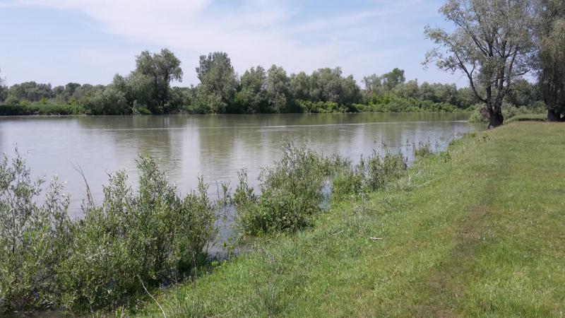 бв1.jpg