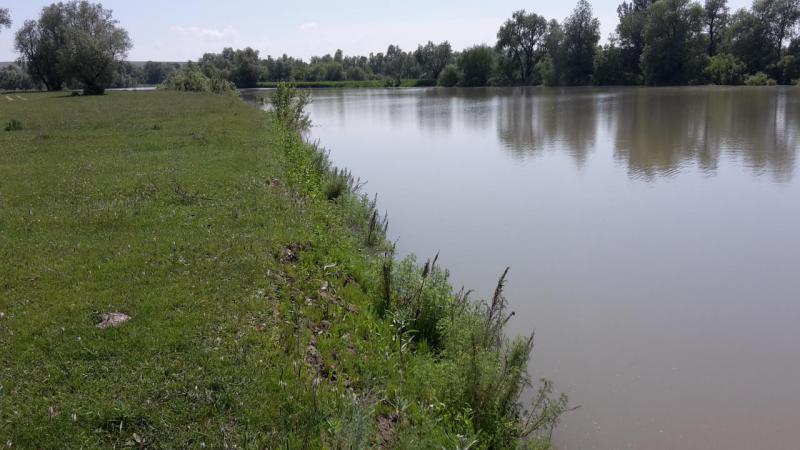 г3.jpg