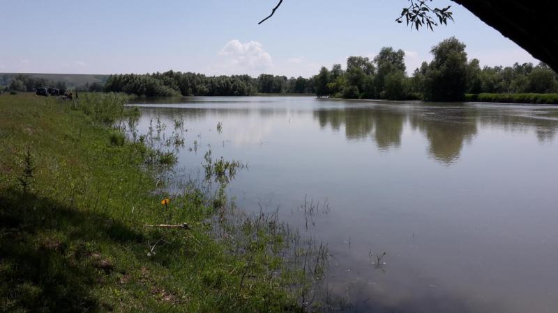 бв3.jpg
