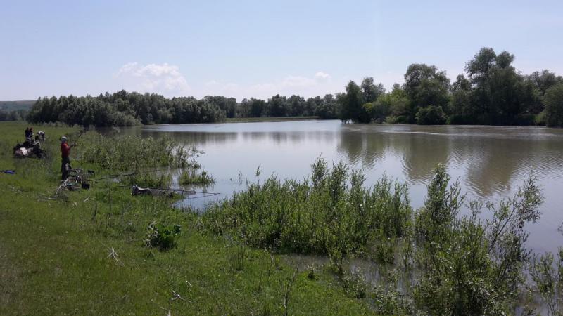 бв2.jpg