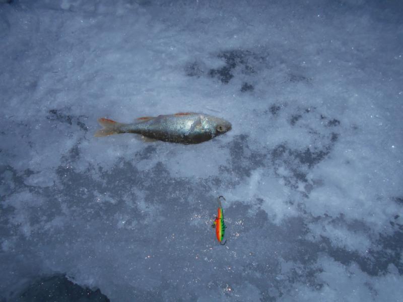 DSCN0420.JPG