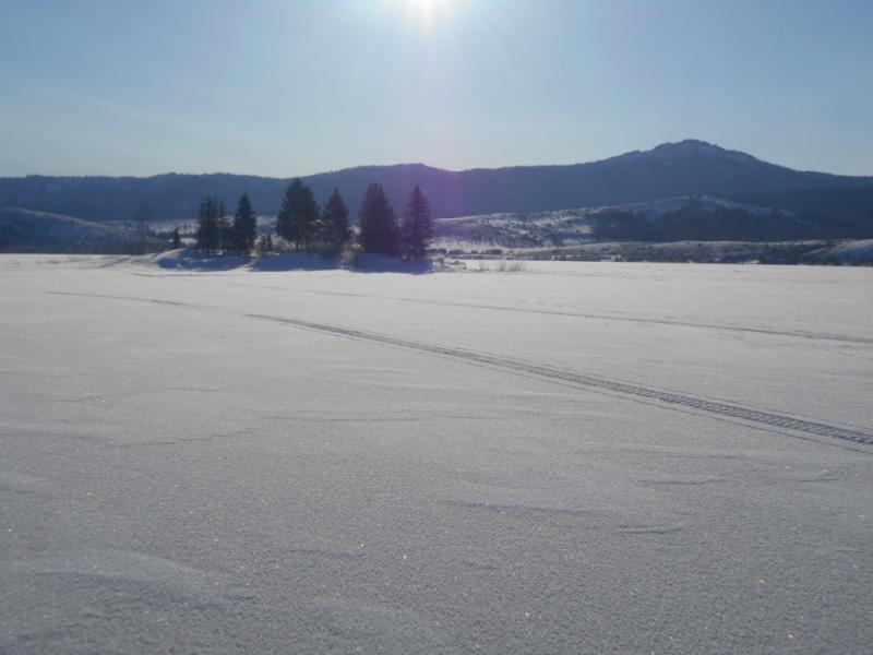 DSCN0447.JPG