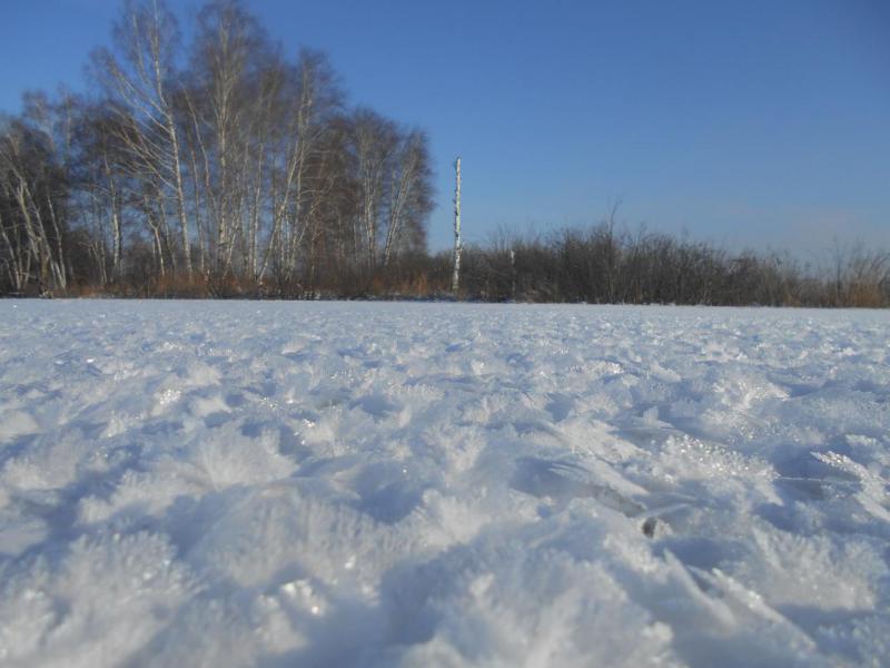 DSCN0226.JPG