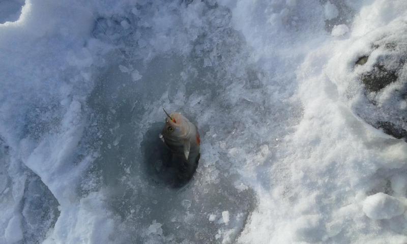 20161113_115407.jpg